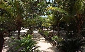 Paradise Beach Club